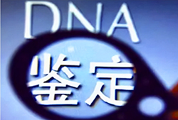 南充血缘检测哪里有