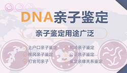 南充正规DNA鉴定中心【咨询预约】，南充正规的DNA鉴定多少钱
