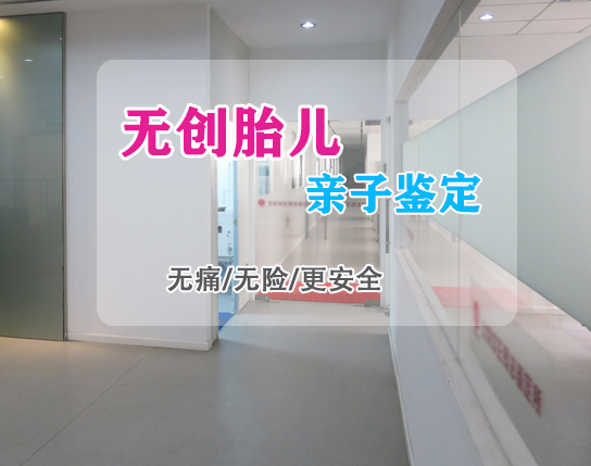南充怀孕如何办理DNA亲子鉴定,南充办理怀孕亲子鉴定办理的条件