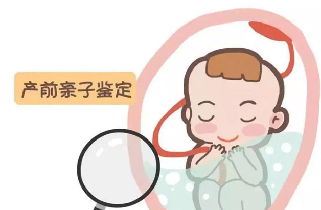 南充怀孕怎么做DNA鉴定,南充做胎儿亲子鉴定办理流程 南充怀孕怎么做DNA鉴定,南充做胎儿亲子鉴定办理流程