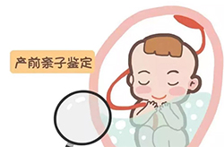 南充怀孕怎么偷偷做亲子鉴定，南充怀孕亲子鉴定准确性高吗
