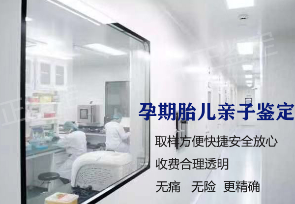 南充怀孕怎么做DNA鉴定,南充做胎儿亲子鉴定办理流程 南充怀孕怎么做DNA鉴定,南充做胎儿亲子鉴定办理流程