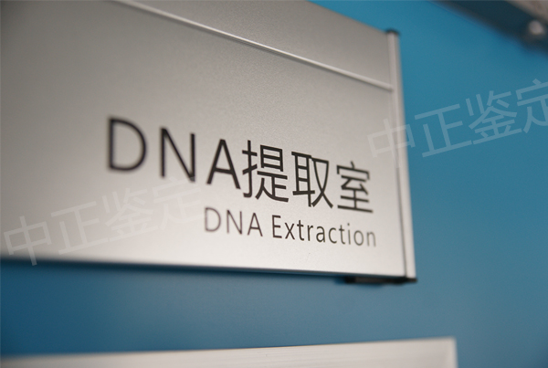 南充匿名亲子鉴定大概需要多少钱,南充隐私亲子鉴定如何做 南充匿名亲子鉴定大概需要多少钱,南充隐私亲子鉴定如何做